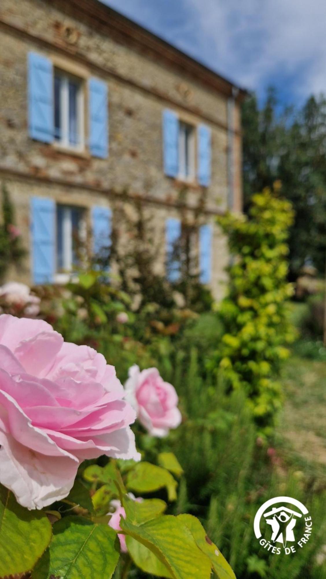 Aux Roses De Cedres Chambre Savane Salvagnac Dış mekan fotoğraf