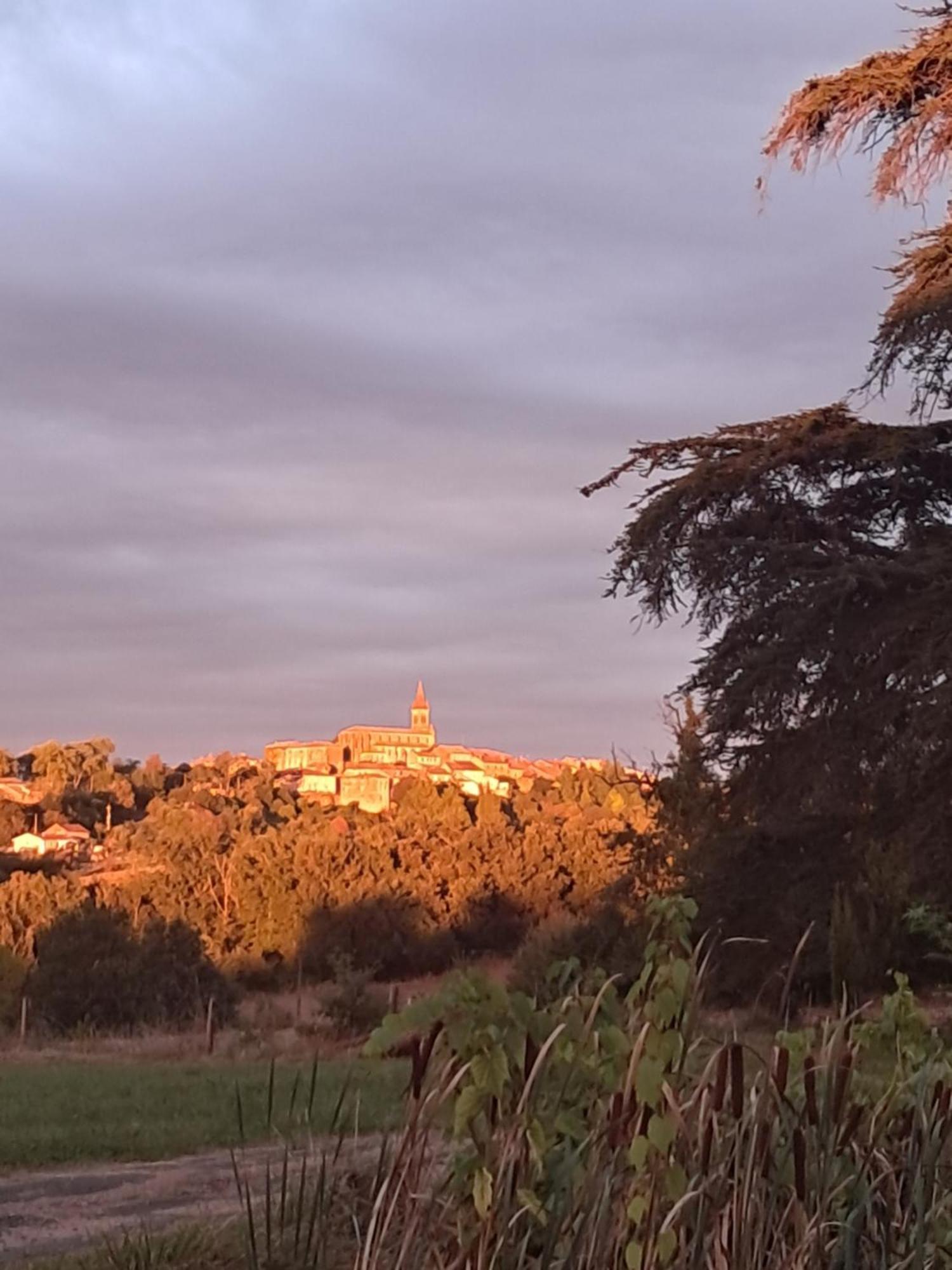 Aux Roses De Cedres Chambre Savane Salvagnac Dış mekan fotoğraf